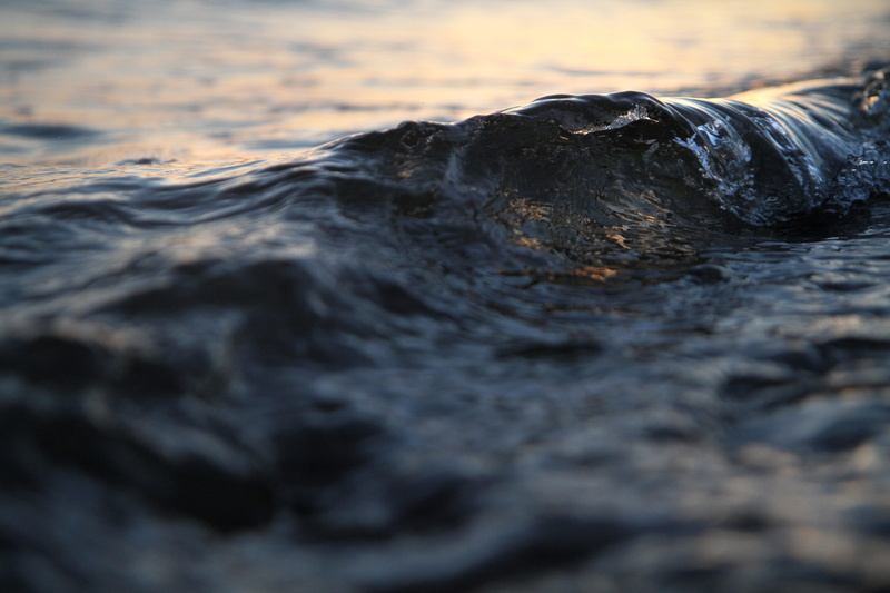 outdoors, golden gardens, seattle, selective focus, golden gardens park, 5K, surface level, flowing water, narrow depth of field, motion, sign, no people