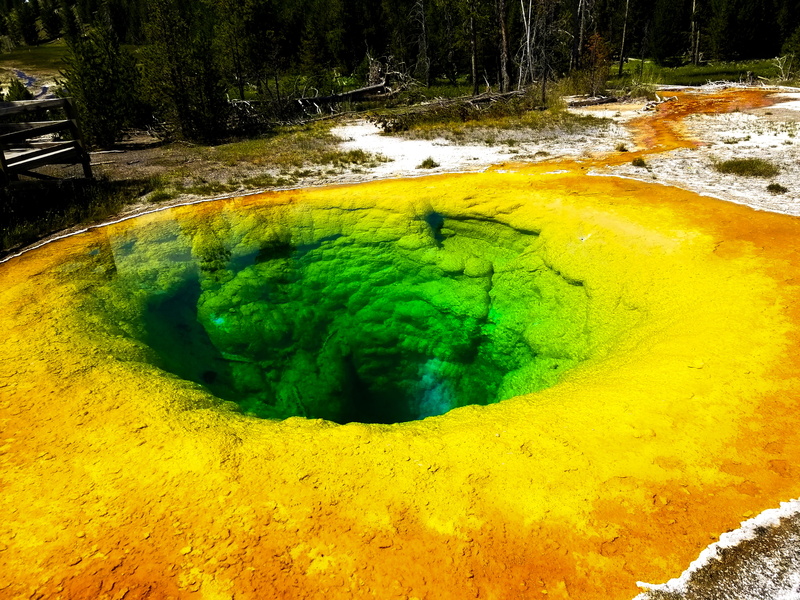 bacteria, yellowstone national park, flowing water, scenics - nature, tree, tranquil scene, green color, plant, morning glory pool group, nature, 4K, travel