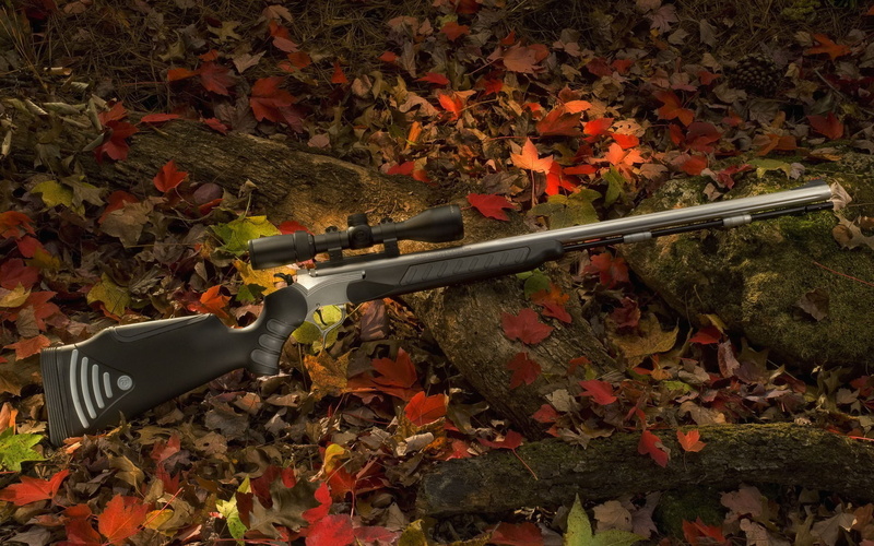 war, nature, plant, orange color, plant part, no people, leaves, hunting, rifle, army, growth, 1080P, autumn, change, gun, tree, black, aggression, conflict