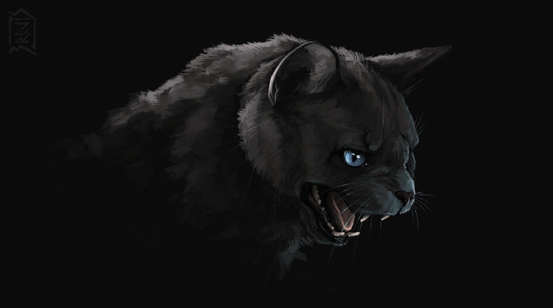 art, 2K, black cat, evil eye, darkness, fangs, mouth, Brevisart