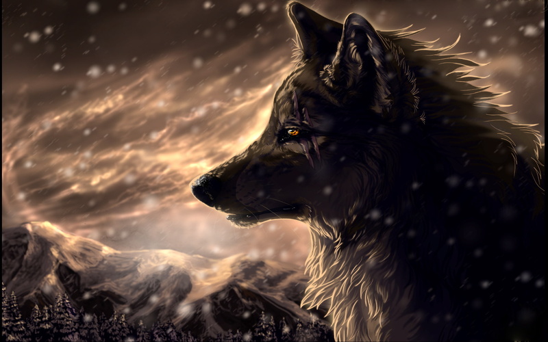 1080P, wolfroad, Blizzard, scars, snow, forest, mountains, Wolf, art, two steps from hell
