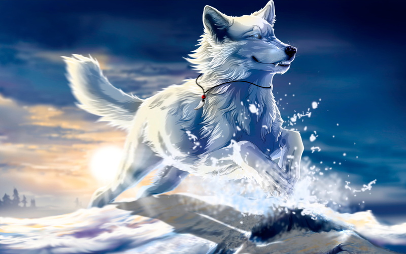 blue, cloud - sky, sunlight, scenics - nature, winter, illustration, digital composite, animal themes, sky, arctic, snow, sunset, nature, the sun, be free