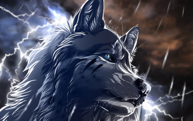 lightning, wolf, animals, fantasy, wolfroad, 1080P, rain, night, art