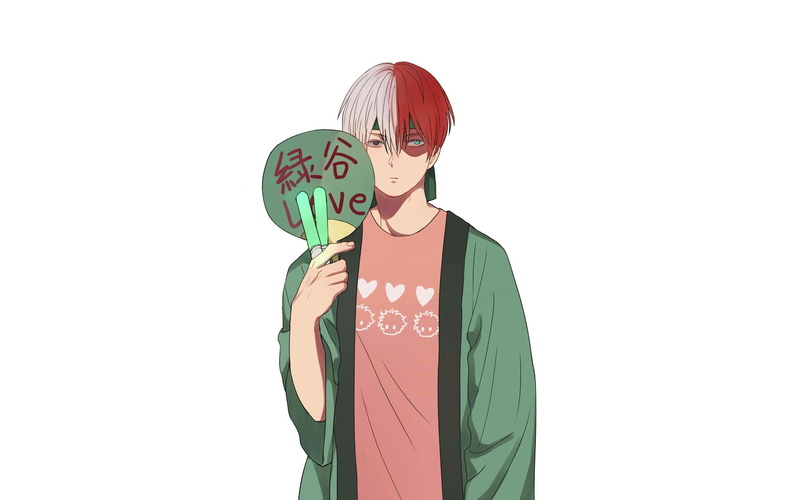clothing, indoors, copy space, disguise, lifestyles, Shouto Todoroki, My Hero Academia, white background, waist up, casual clothing, adult, unrecognizable person