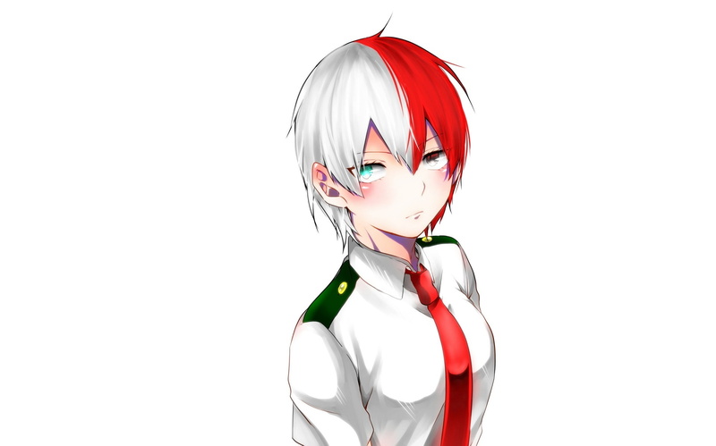 Anime, 1080P, Shouto Todoroki, My Hero Academia