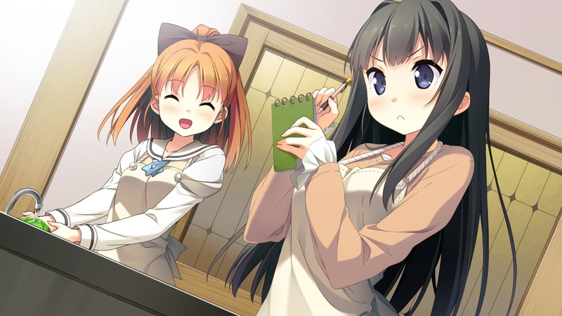 your, yuuhi, blush, girls, sayuki, black, kantoku, ayase, apron, game, cube, 1080P, brown, bow, blue, diary, eyes, seifuku, minagawa, long, book, hair