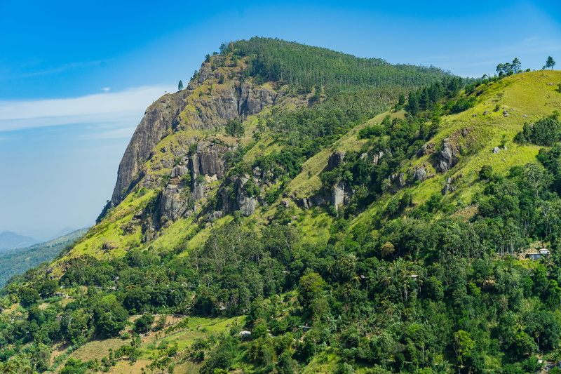 mountain peak, tranquil scene, field, hike, summer, plant, idyllic, growth, environment, tree, foliage, green, trees, 5K, outdoors, tranquility, beauty in nature