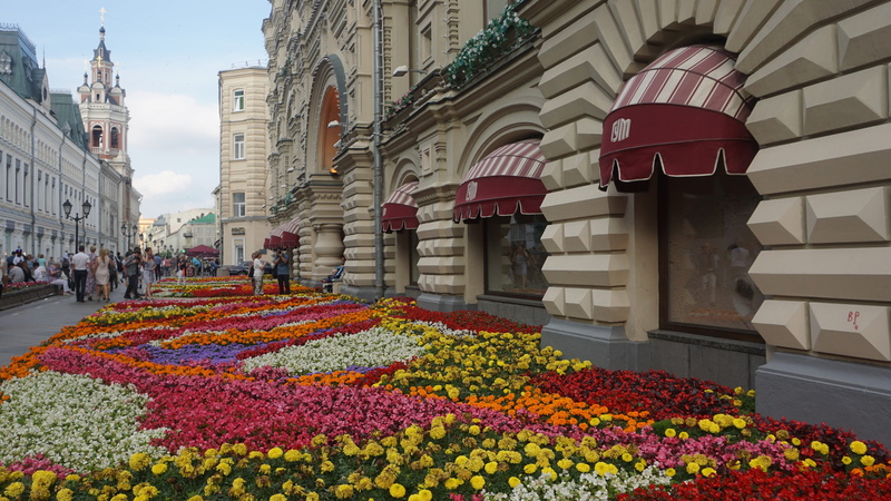 color, us, ornamental, building, happy, flowers, city, travel destinations, plant, outdoors, dc, built structure, flower head, religion, national, sky