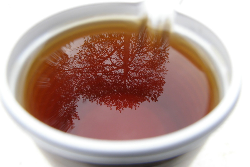 liquid, east Asian Culture, trees, white Background, drink, no People, freshness, tea, refreshment, high angle view, white, 1080P, nature, tea Cup, food