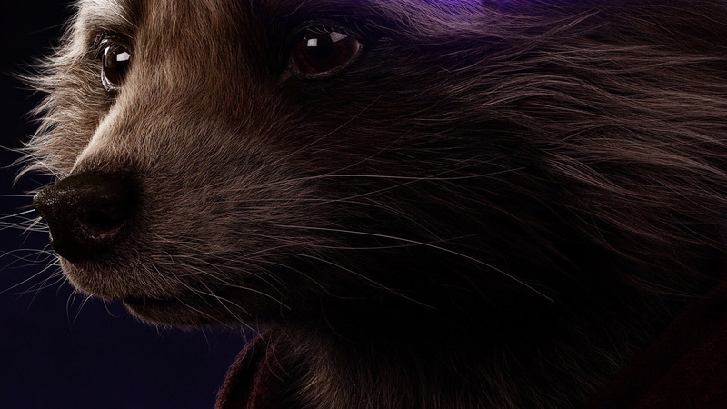 Rocket Raccoon, 1080P, The Avengers, Avengers Endgame