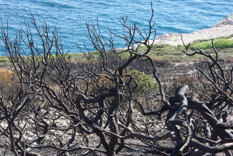 wood, cove, no people, ravaged, water, scenics - nature, fire, tranquility, 4K, growth, tranquil scene, beauty in nature, metal, nature, beach, marseille