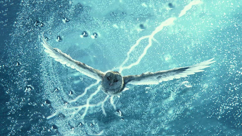 Movie, Legend of the Guardians: The Owls of GaHoole, 1080P