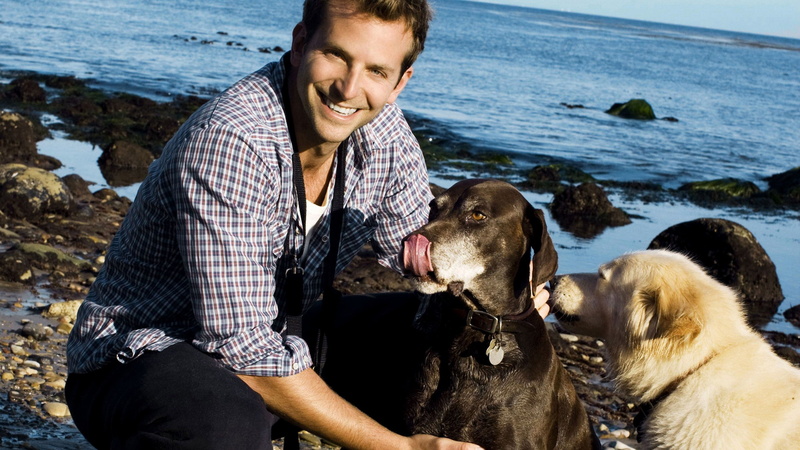 side, cooper, 2K, sea, happy, actor, bradley, smile, dogs