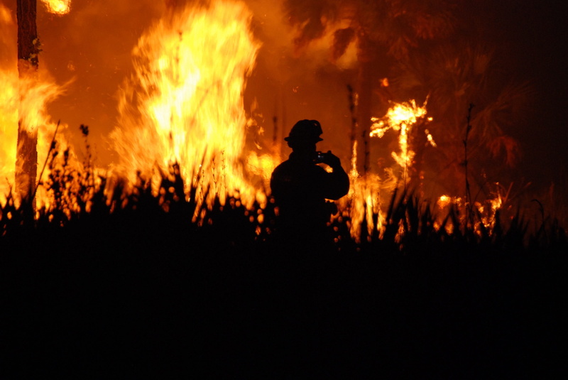 emergency services occupation, danger, communication, fire hose, brush, blaze, hot, smoke, burning, firefighter, controlled, wilderness, extinguishing