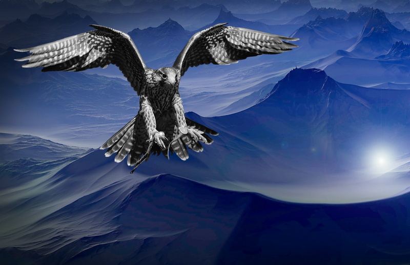 beak, animal, feather, tranquil scene, land, cloud - sky, bird, flying, mountain range, dark, blue, no people, dangerous, raptor, prey, 4K, wings, sky