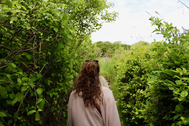nature, green color, day, trees, lake, plant part, adult, hairstyle, rear view, growth, united states, ocean, leaf, wild, leisure activity, hair, long island
