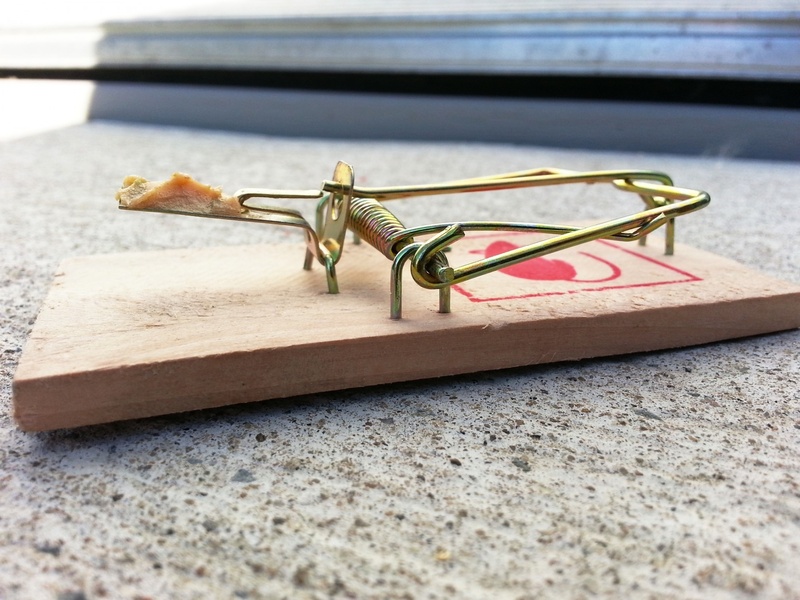 key, tray, nature, risk, selective focus, food, vermin, day, wood - material, danger, lure, 1080P, still life, metal, table, indoors, no people, gold colored