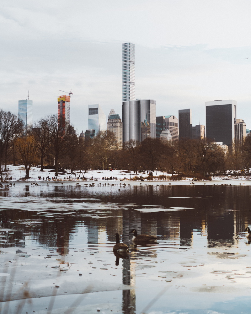 cityscape, depth, water, central park, dark, tones, contrast, nature, waterfront, autumn, architecture, buildings, day, reflection, horizon, built structure