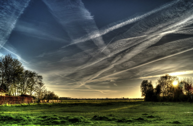 sky, field, Chemtrails, grass, 1080P, Trees, landscape, nature