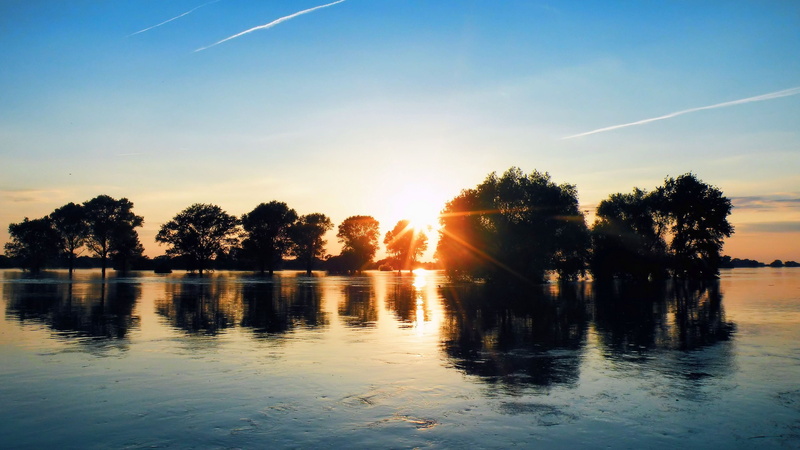 scenics - nature, ocean, lens flare, trees, chemtrails, silhouette, non-urban scene, no people, idyllic, sky, tranquil scene, river, view, dawn, sunrise