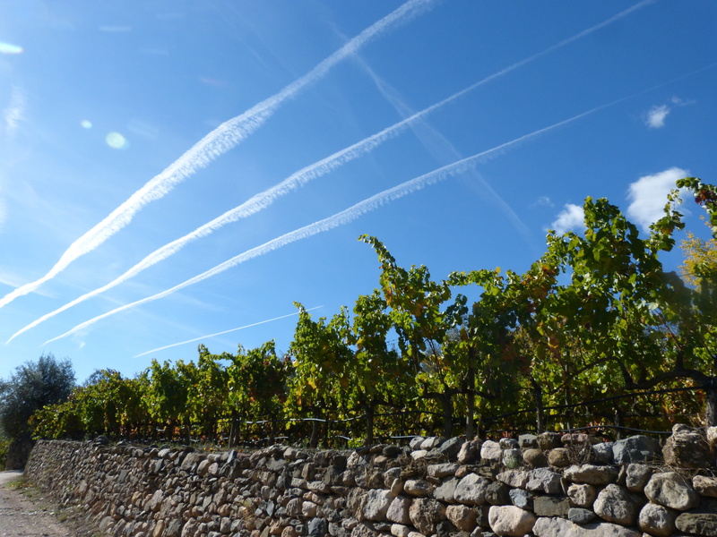 vapor trail, blue, agriculture, low angle view, outdoors, stone wall, chemtrails, Perspective, scenics - nature, 4K, Sky, solid, Wall, rural scene, wind