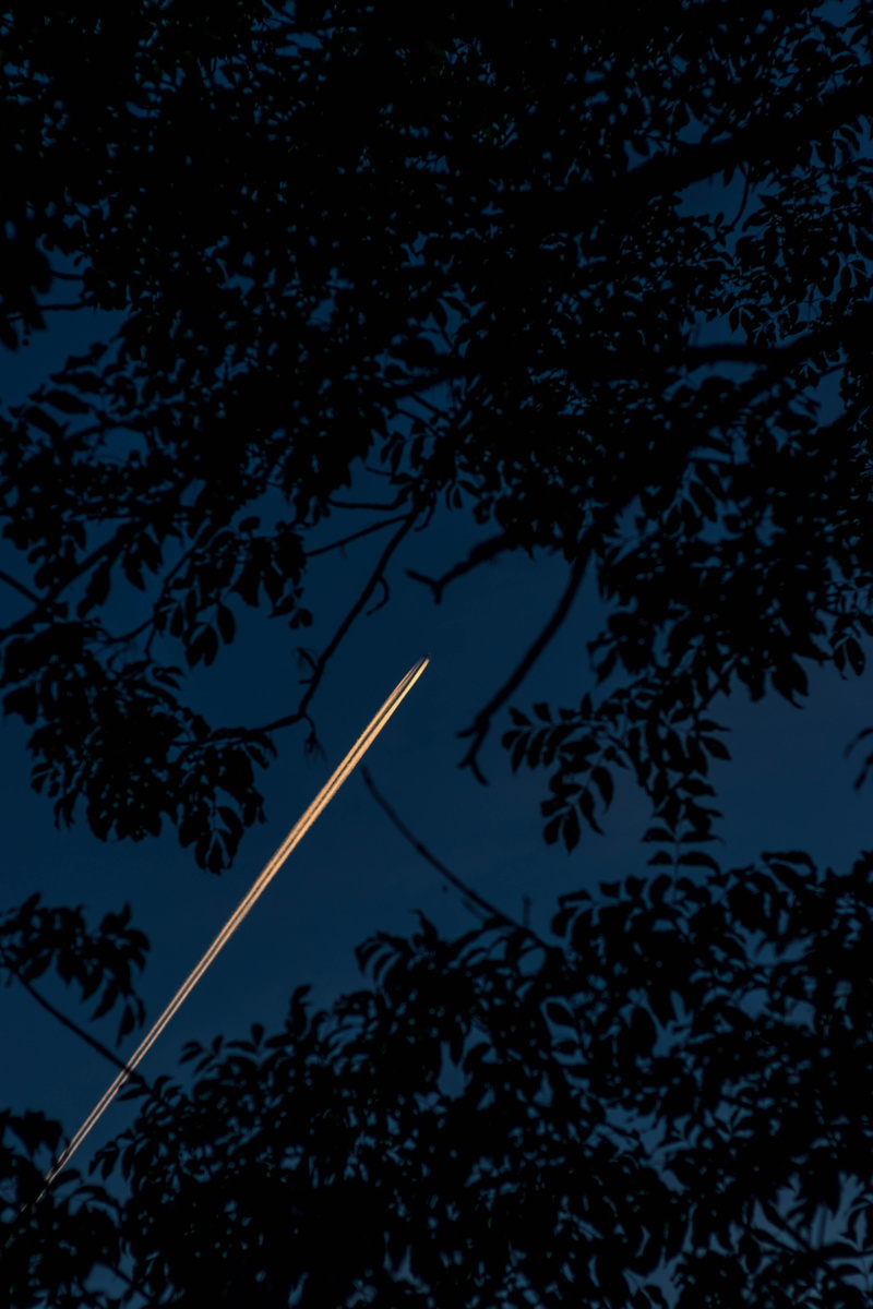 universe, outer space, dusk, scenics - nature, starry sky, full moon, flare, tree, moon, no people, airplane, low angle view, chemtrail, light, tranquility