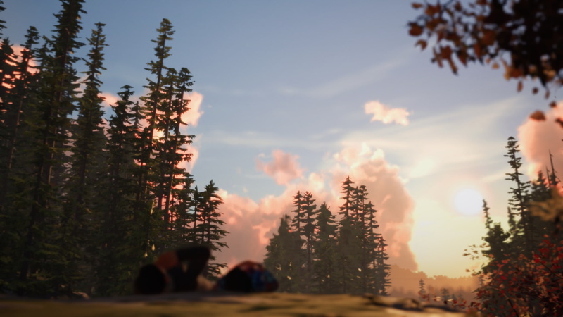 1080P, Video Game, Life Is Strange 2