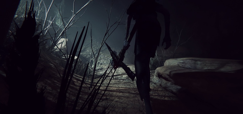 Outlast 2, 1080P, Video Game