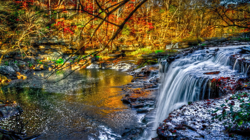 blurred motion, stream - flowing water, forest, no people, outdoors, flowing, long exposure, autumn, 8K, scenics - nature, plant, motion, falling water