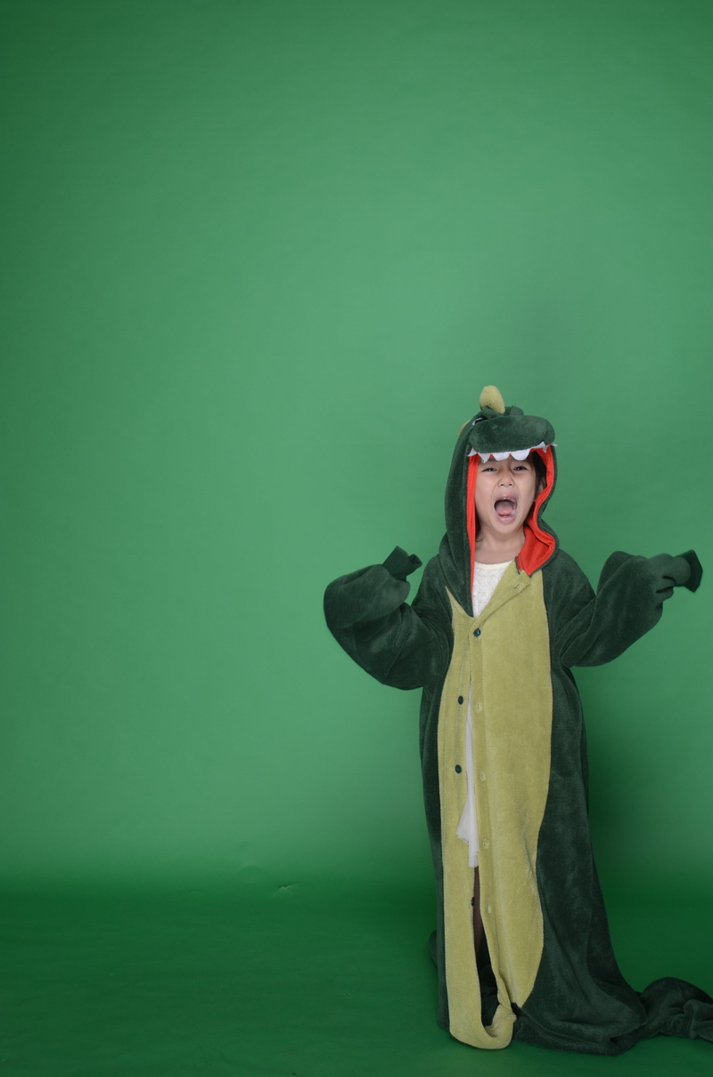 copy space, clothing culture, green, roar, chair, girls, portrait, one person, studio shot, clothing, glasses, lifestyles, dinosaur, army backpack, indoors