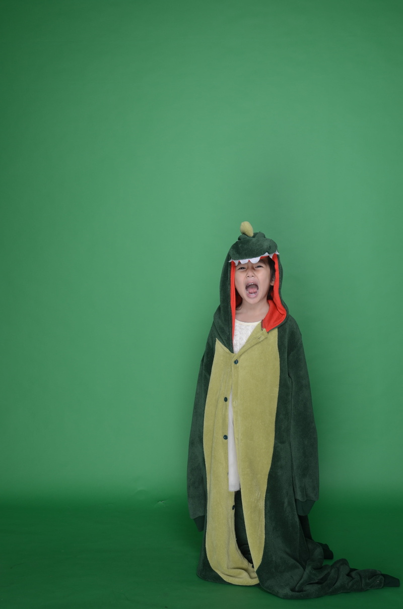 chair, green color, indoors, studio, military cap, studio shot, dinosaur, young adult, copy space, front view, one person, original photo, wearing, wall - building feature
