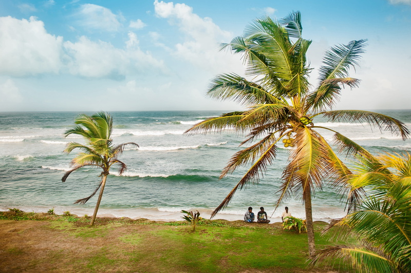 summer, plant, coconuts, beauty in nature, landscape, scenics - nature, horizon, water, tropics, tropical climate, day, tranquility, storm, lifestyles