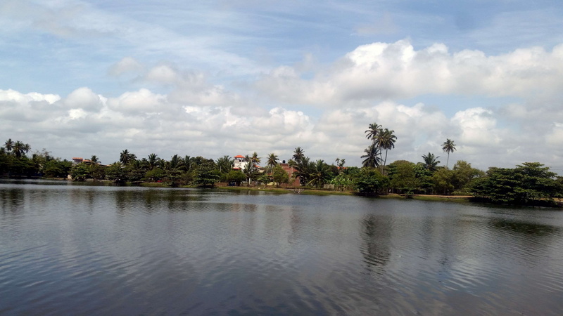 waterfront, sri lanka, no people, lake in panadura, 4K, outdoors, reflection, coconut palm tree, rajth, kalutara, palm tree, tropical climate, lake, environment