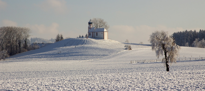 white, day, field, tree, panorama, 5K, snow, built structure, plant, coniferous tree, outdoors, scenics - nature, upper swabia, architecture, building