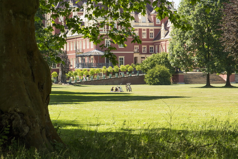front or back yard, trunk, house, tree trunk, sunlight, fürst-pückler-park, growth, building, germany, leisure activity, saxony, bad muskau, grass, building exterior