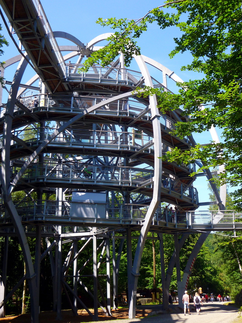 4K, tourism, day, bad harzburg, built structure, plant, amusement park ride, treetop, sky blue, national park, amusement park, view, incidental people