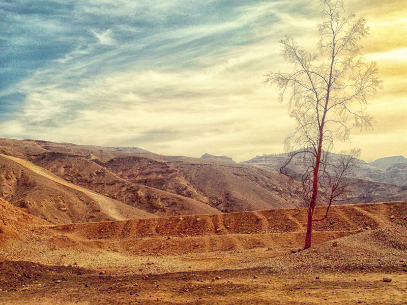 beauty in nature, landscape, ground, tree, no people, royalty  images, sky, harsh, desert, erosion, formation, scenics - nature, heat, nature, countryside