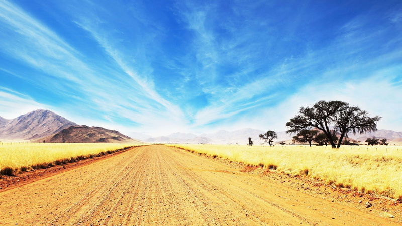 desert, yellow, semi-arid, rural, tranquility, tranquil scene, sea, sand, landscape, road, direction, outdoor, vacation, horizon, field, country, tree