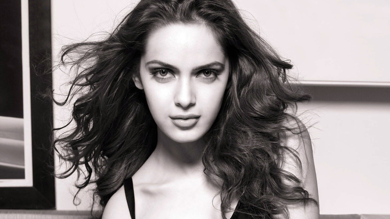 hair, looking at camera, young adult, Celebrity, long hair, women, Girl, human face, indoors, Shazahn padamsee, Model, Actress, front view, beauty, Bollywood