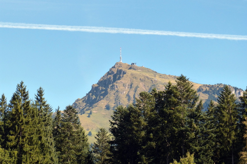 plant, tranquil scene, tranquility, land, formation, tree, kitzbüheler horn, mountains, austria, mountain, vapor trail, beauty in nature, outdoors, transmission tower