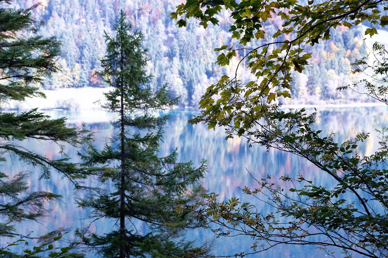 rock, forest, day, mountain lake, depression, green, idyllic, rocky coast, lake view, beauty in nature, mountain landscape, summer, wave, mirroring, weather