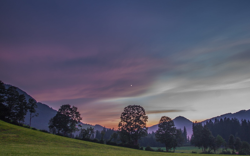beauty in nature, the evening, tree, nature, sky, scenics - nature, grass, mountain, Kitzbühel, outdoors, tranquility, non-urban scene, plant, landscape