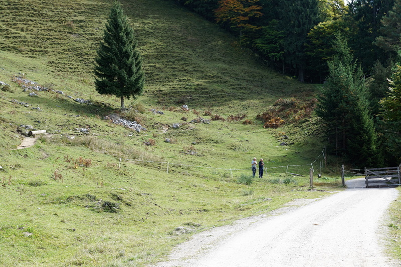 alpine, bio, wilder, idyll, hill, outdoors, mountain, europe, tyrol, love, luck, pasture, cow, walking, fun, hut, day, mood, salzburg country, sky, decoration