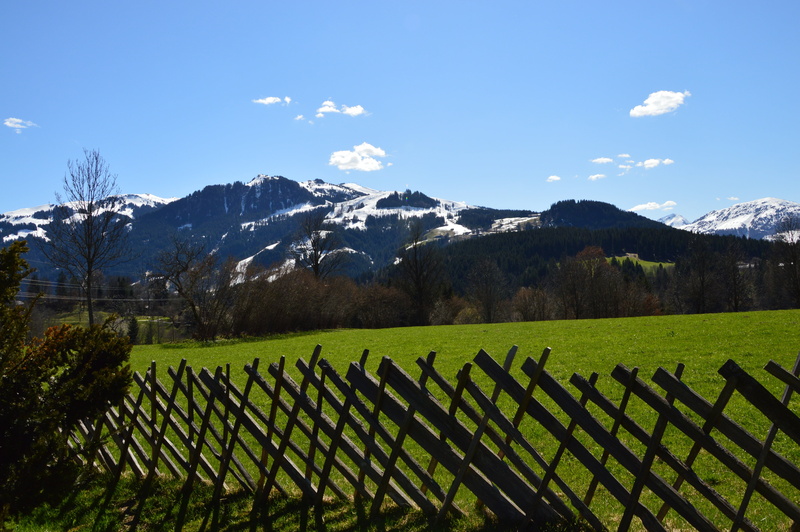 wood fence, scenics - nature, plant, environment, field, mountain, outdoors, mountain range, rural Scene, landscape, tree, tranquility, snowcapped mountain