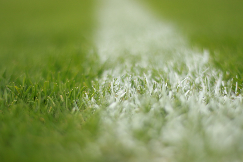 full frame, food and drink, close-up, outdoors, land, 5K, no people, white, macro, surface level, sport, sports, day, tranquility, field, teamsport, beauty in nature