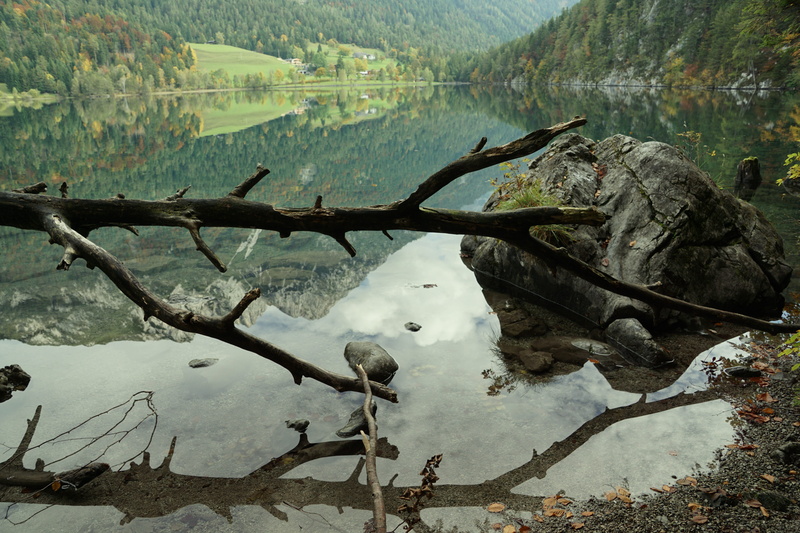 summit, holidays, driftwood, water, climb, mountains, mood, alpine, plant part, lake view, ellmau, landscape, elmau, lake, stanglwirt, sky, wave, land