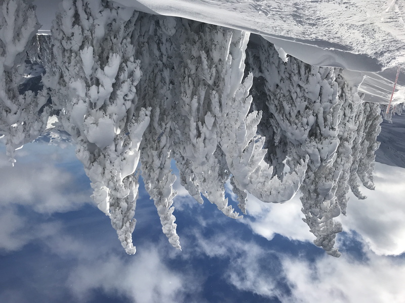4K, sky, environment, woodland, austria, white color, plant, tranquil scene, icicle, beauty in nature, cold temperature, mountain, hahnenkamm 24, mountain peak