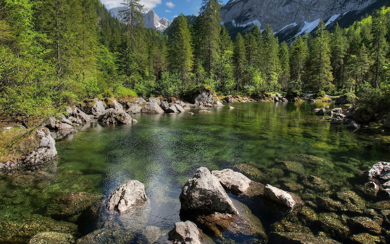 plant, pine tree, land, non-urban scene, no people, growth, rock, pc hd nature image 1920x1200, solid, day, green color, mountain, flowing, tranquil scene