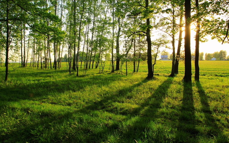 1080P, download hd images of nature for pc 1920x1200