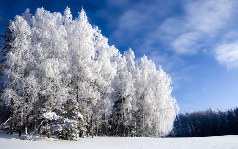 pc hd nature image 1920x1200, 1080P